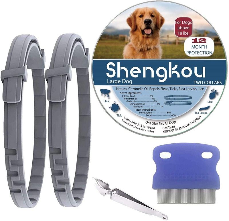  5 Best Tick Collars For Dogs