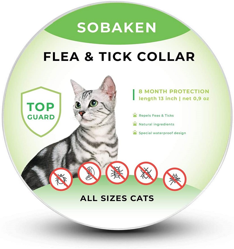  5 beste Zeckenhalsbänder für Katzen