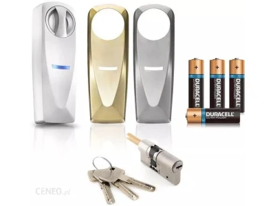 Somfy Door Lock Zamek