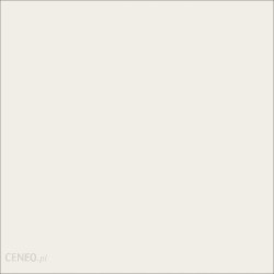 Płytka do łazienki Gptu 601 White 59,3X59,3