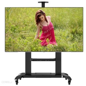 Wieszak do telewizora Nb Mobilny Stojak Tv Wózek Do Lcd Led Plazma 60" 100" (CF100B)