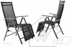 Hurtowniak Zestaw 2 Aluminiowych Leżaków Ogrodowych