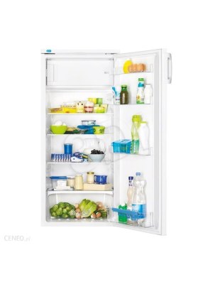 Lodówka do 1000 złotych - ZANUSSI ZRA 22800 WA