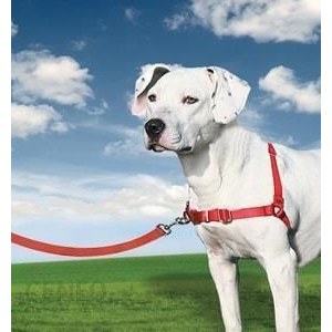 Szelki dla psa Easy Walk  Harness 