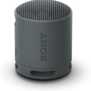 Sony SRS-XB100