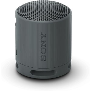 Sony SRS-XB100