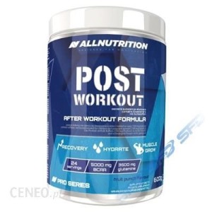 Suplement na regenerację po treningu Post Workout