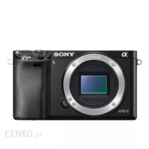 Aparat bezlusterkowy Sony A6000