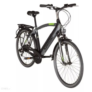 Rower elektryczny Kawasaki Trekking Man (KX-E-TREKMAN53)