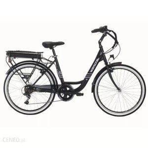 Rower elektryczny Wayscral Atv Anyway E100