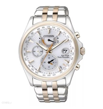 Zegarek Citizen Eco-Drive (FC0014-54A)