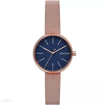 Zegarek na bransolecie  Skagen Signature SKW2593