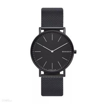 Zegarek na bransolecie  Skagen SKW6484