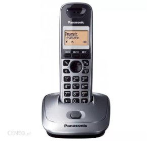 Telefon stacjonarny bezprzewodowy Panasonic KX-TG2511PDM