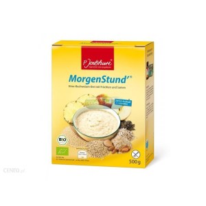 Kaszka Bezglutenowa dla dzieci Jentschura Morgenstund Z Prosa I Gryki Z Owocami I Nasionami  500 g