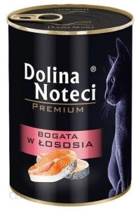 Mokra karma dla kota z łososiem- Dolina Noteci