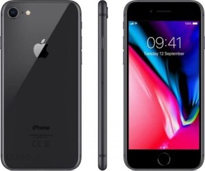 Smartfon z dobrą baterią iPhone 8 256 GB 